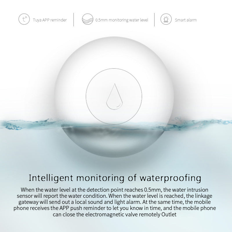Catch Leaks Early, Save Your Home