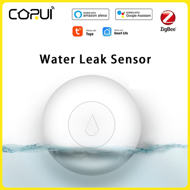 Catch Leaks Early, Save Your Home