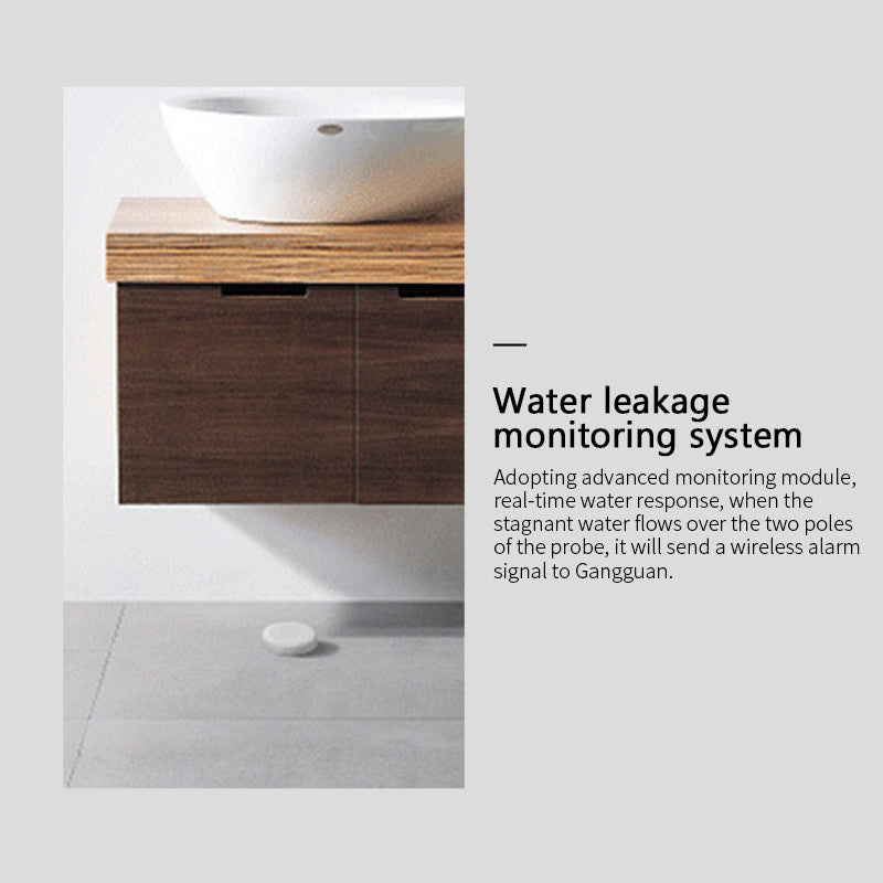 Catch Leaks Early, Save Your Home